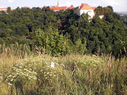 gránice lavika 073 - chybí